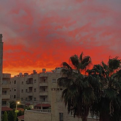 سهاد نوفل